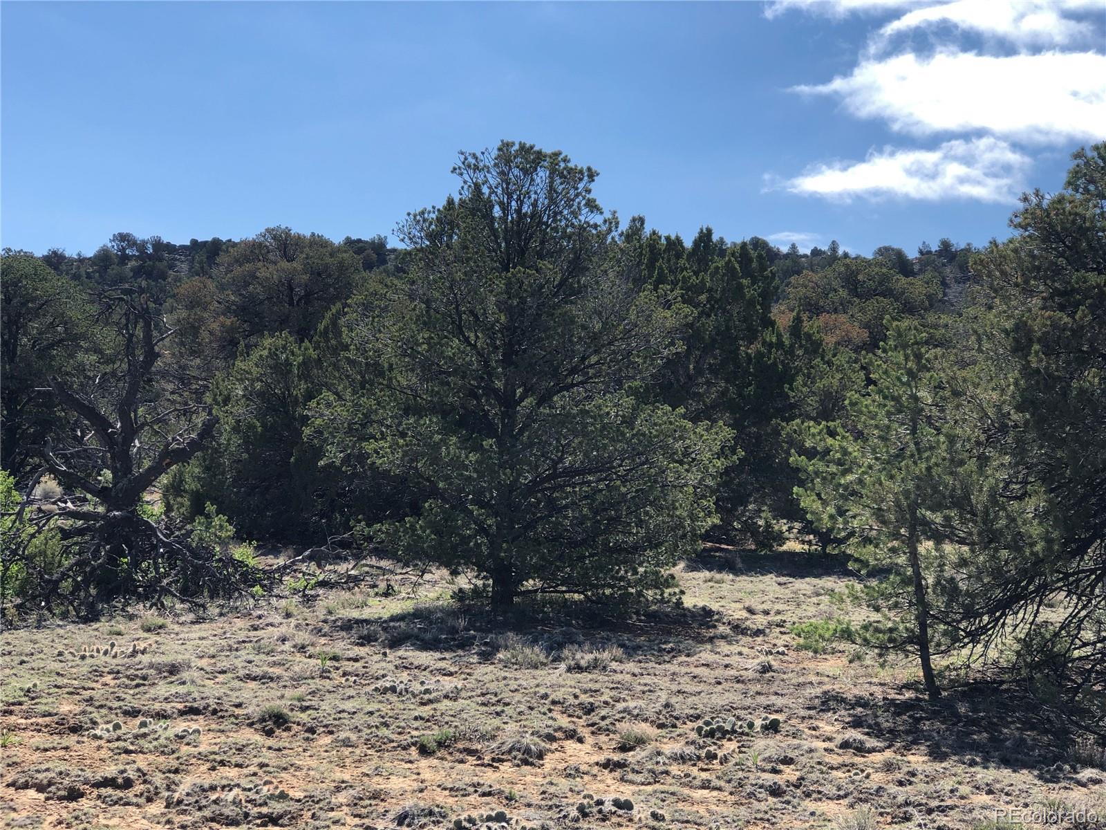 Lot 936 Rio Cucharas Phs #3 Walsenburg CO 81089