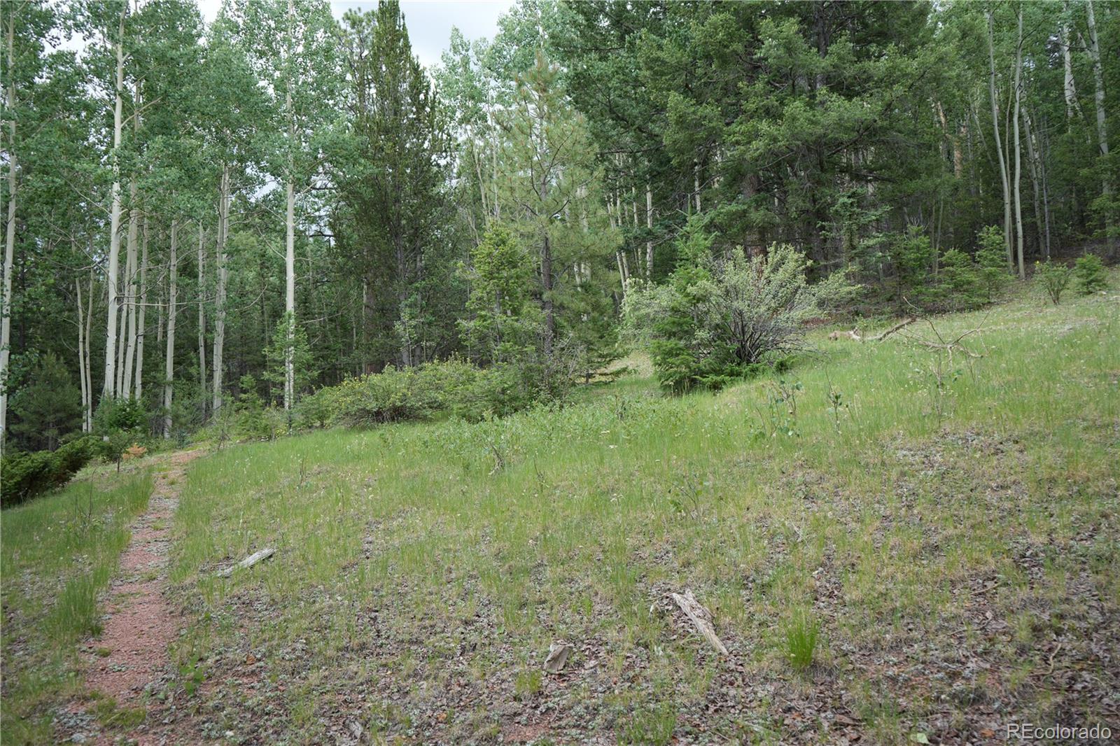 1406 Monarch Drive Cripple Creek CO 80813