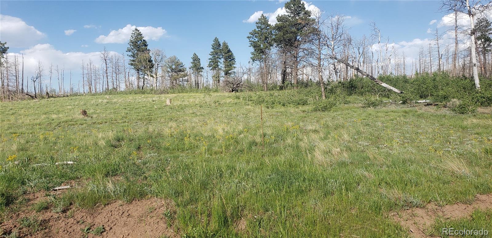 Lot 1406 Emery Loop Fort Garland CO 81133