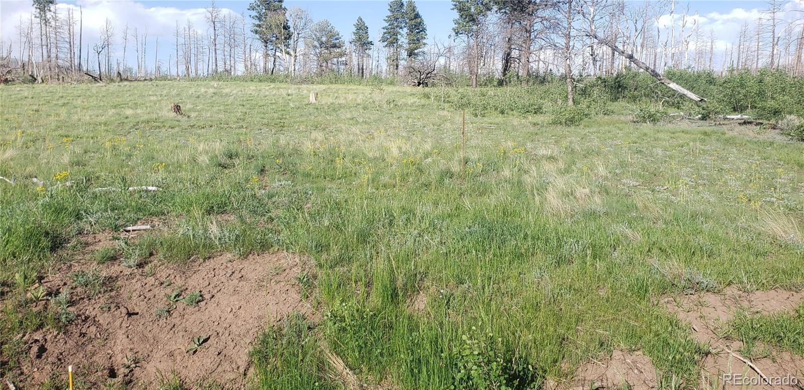 Lot 1406 Emery Loop Fort Garland CO 81133