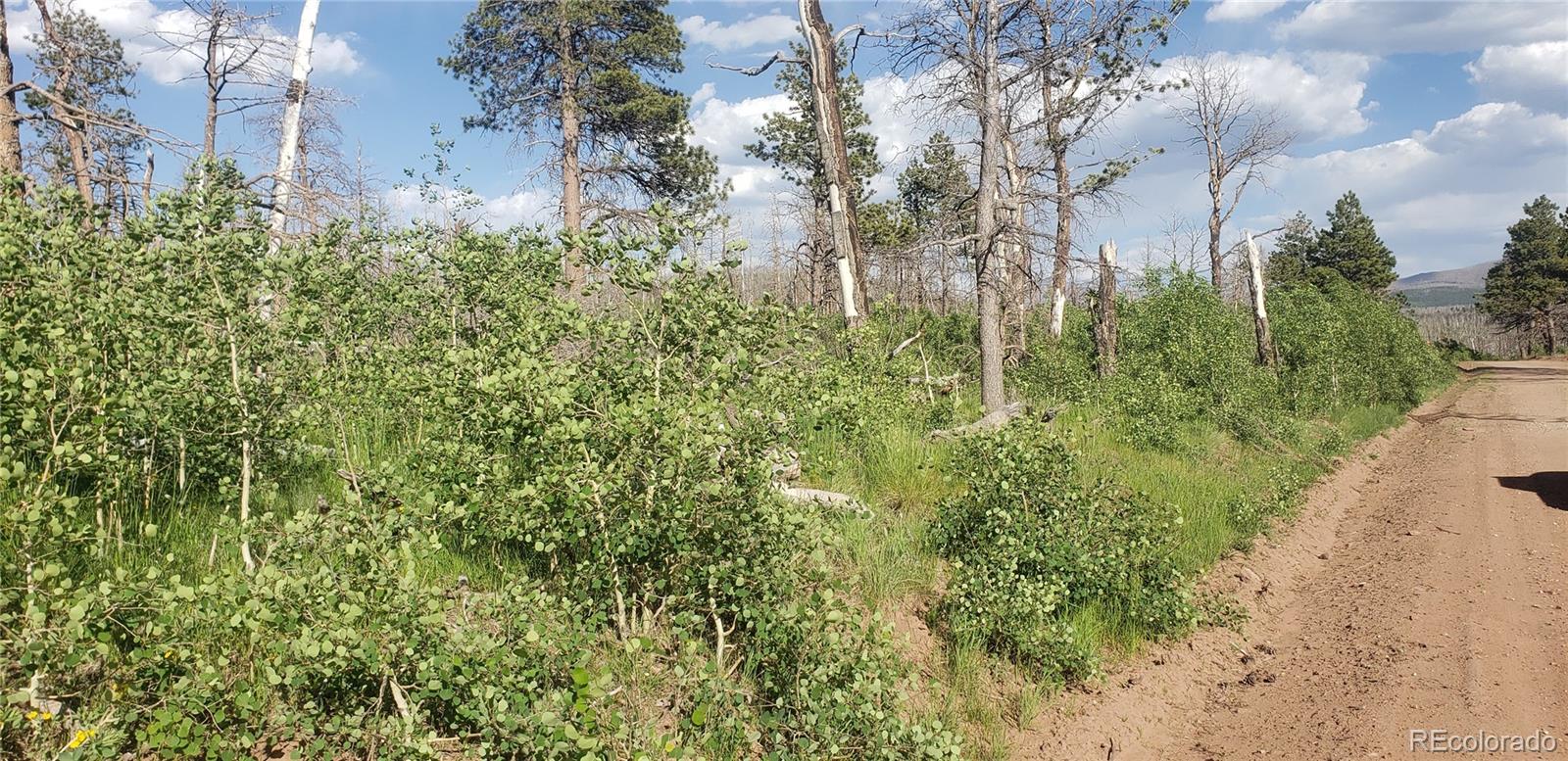 Lot 1406 Emery Loop Fort Garland CO 81133