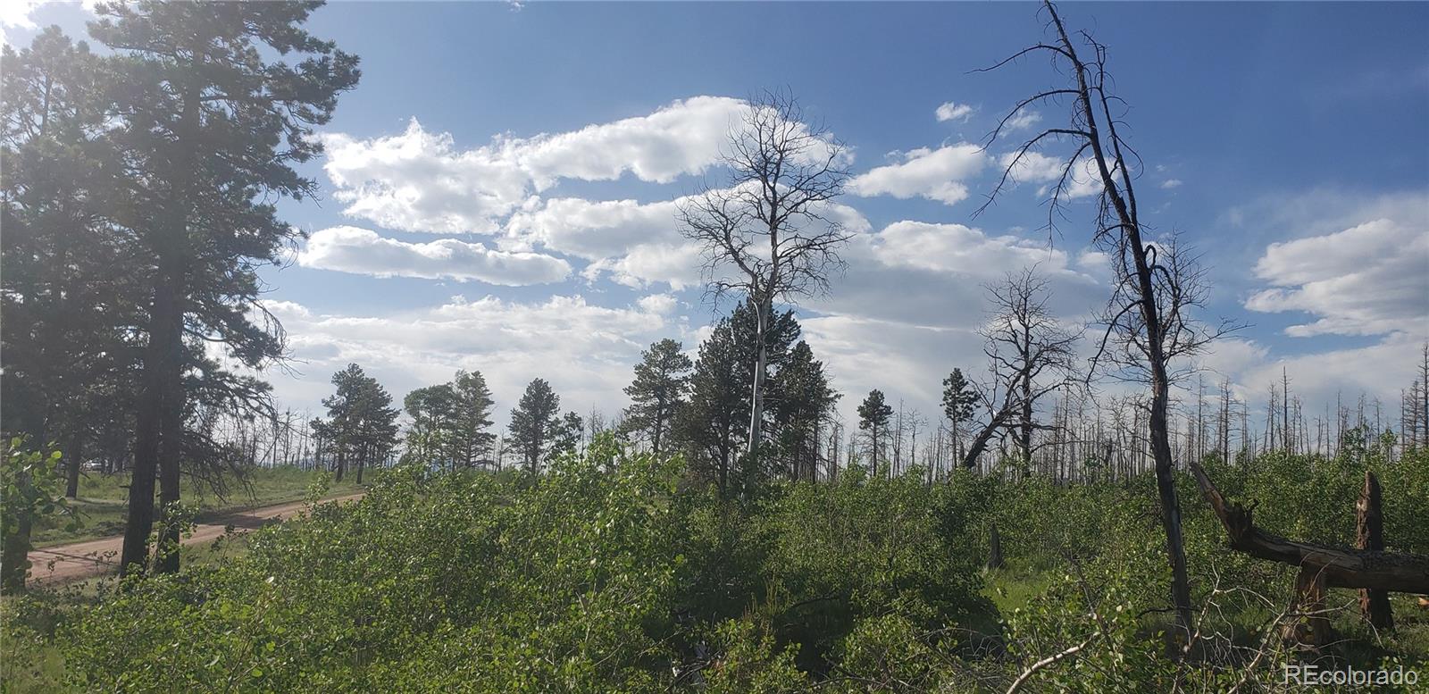 Lot 1406 Emery Loop Fort Garland CO 81133