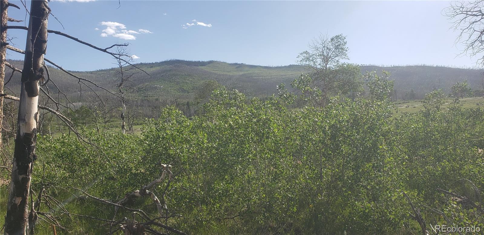 Lot 1406 Emery Loop Fort Garland CO 81133