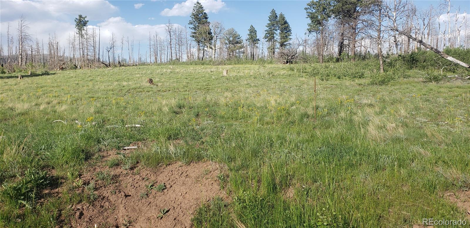 Lot 1406 Emery Loop Fort Garland CO 81133