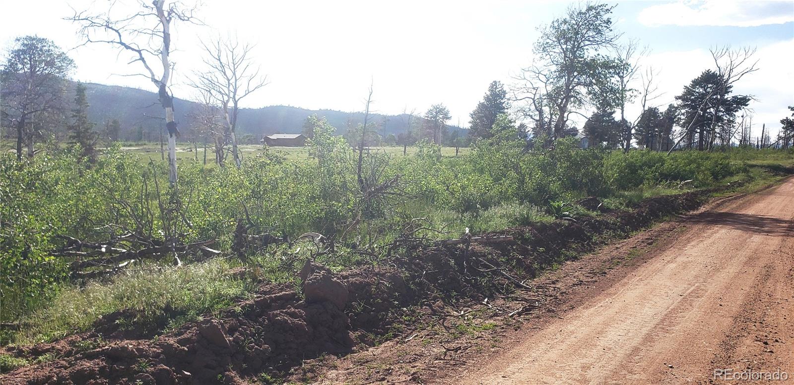 Lot 1406 Emery Loop Fort Garland CO 81133