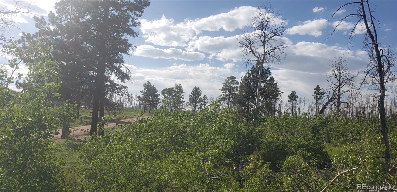 Lot 1406 Emery Loop Fort Garland CO 81133