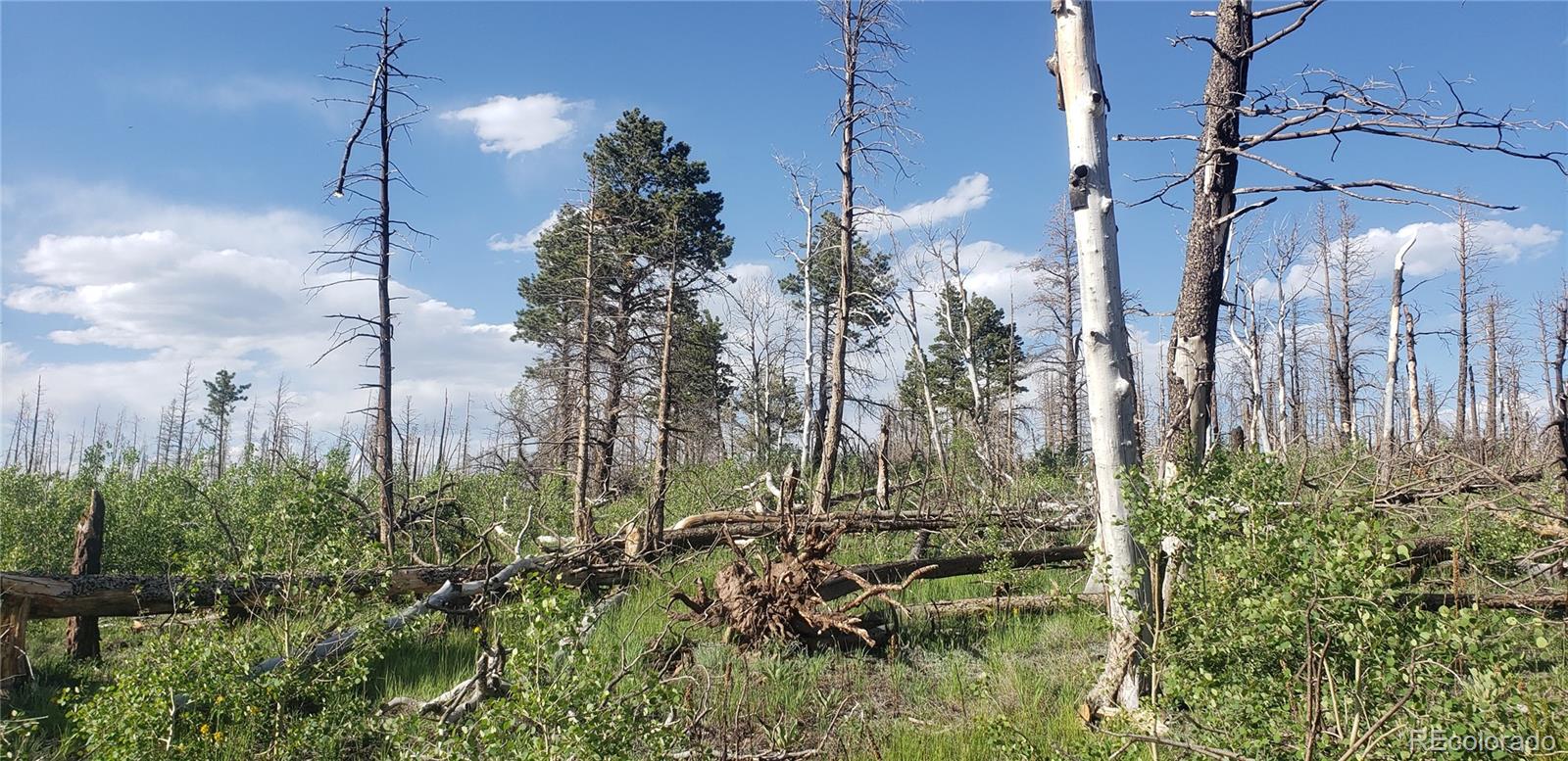 Lot 1406 Emery Loop Fort Garland CO 81133