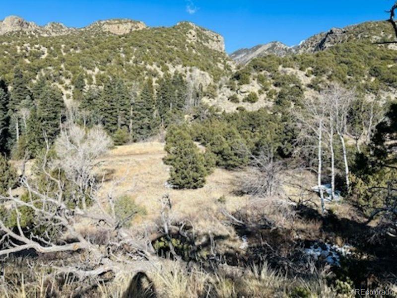 184 Cedar Ridge Road Mosca CO 81146
