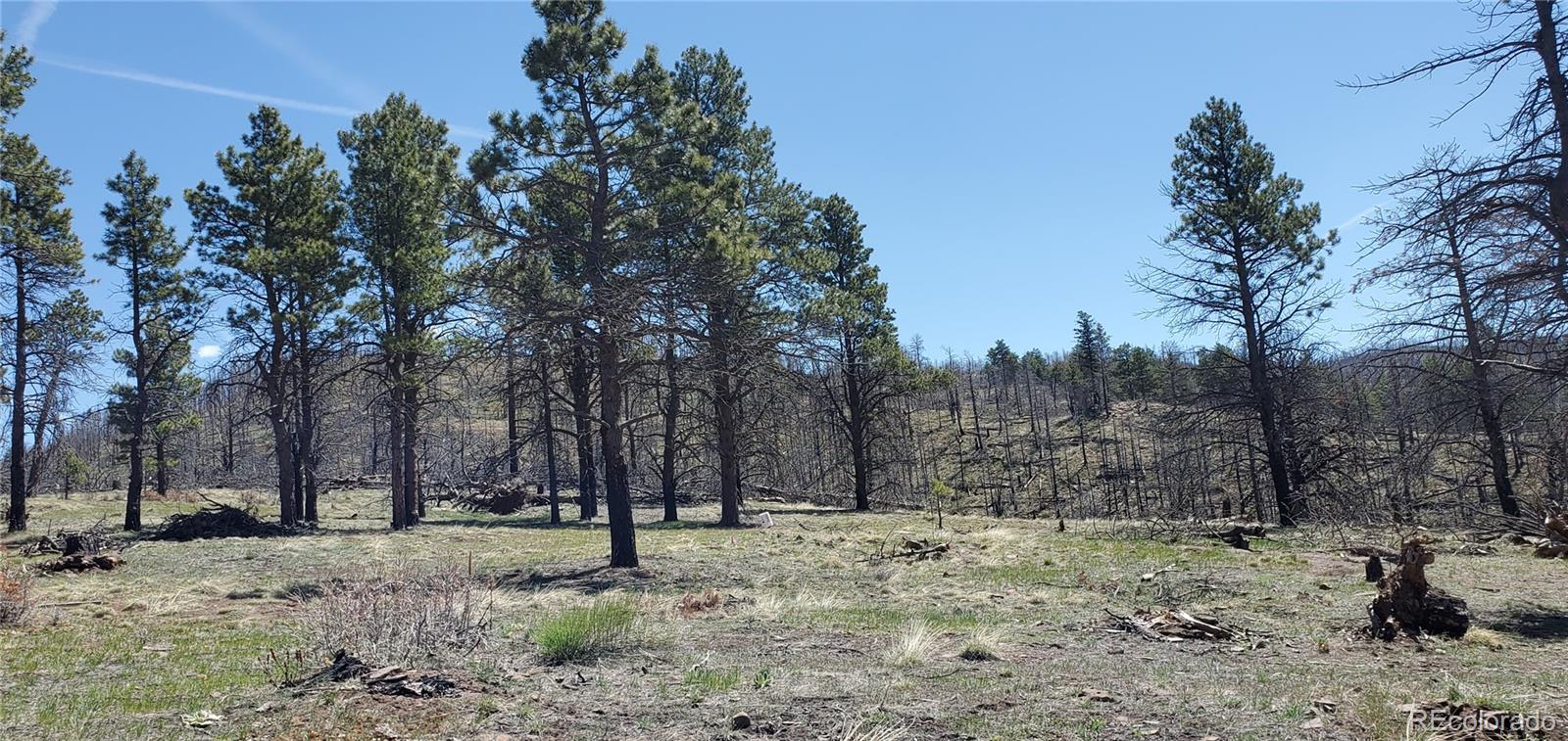 3682 Powers Road Fort Garland CO 81133