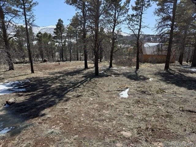 3682 Powers Road Fort Garland CO 81133