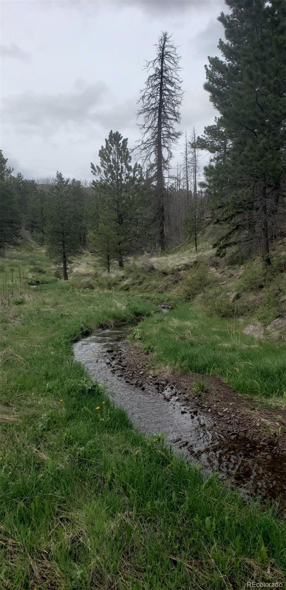 3682 Powers Road Fort Garland CO 81133