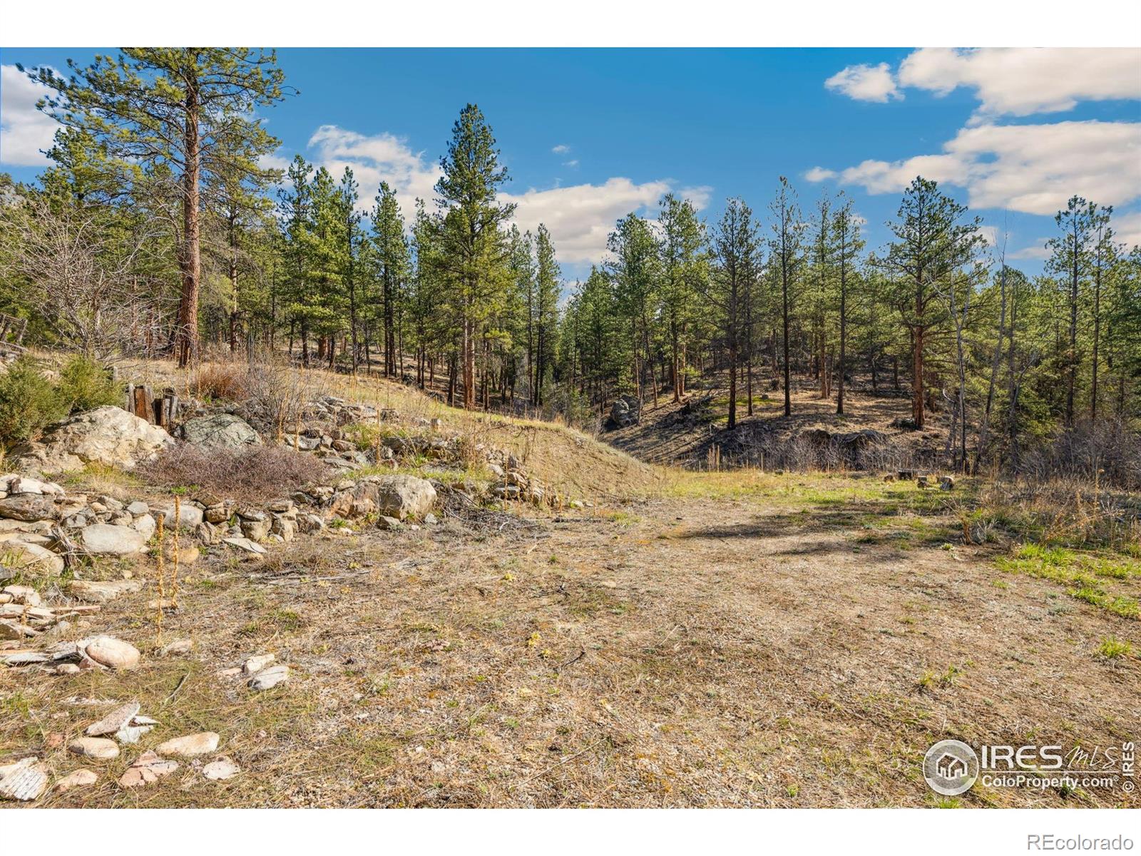 755 Fox Creek Road Glen Haven CO 80532
