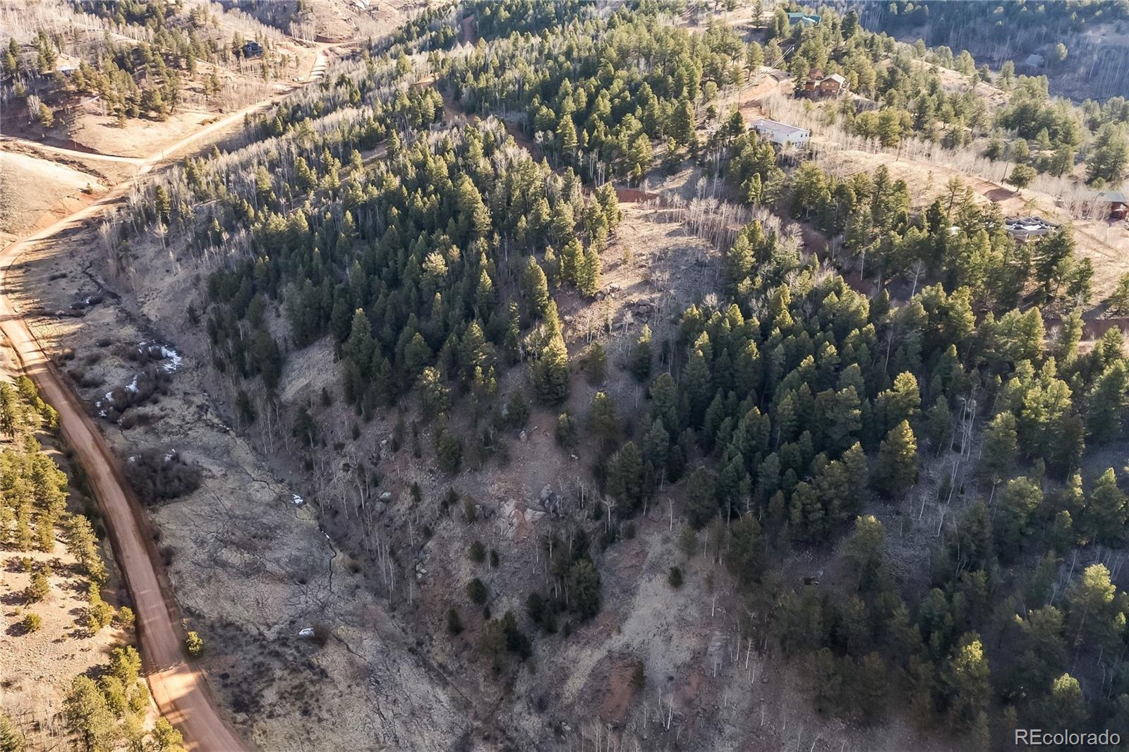 728 Little Topsey Drive Cripple Creek CO 80813