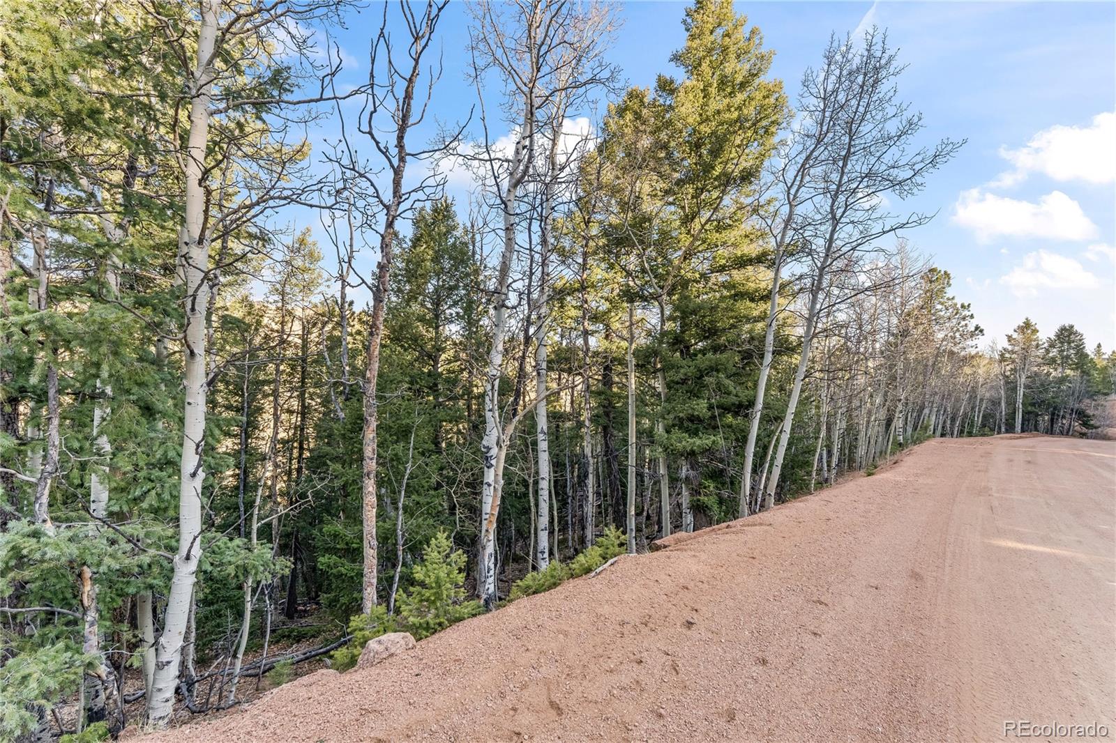 728 Little Topsey Drive Cripple Creek CO 80813