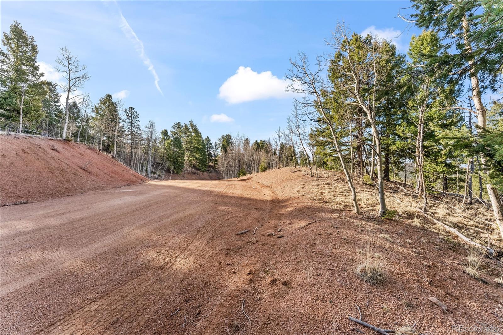 728 Little Topsey Drive Cripple Creek CO 80813