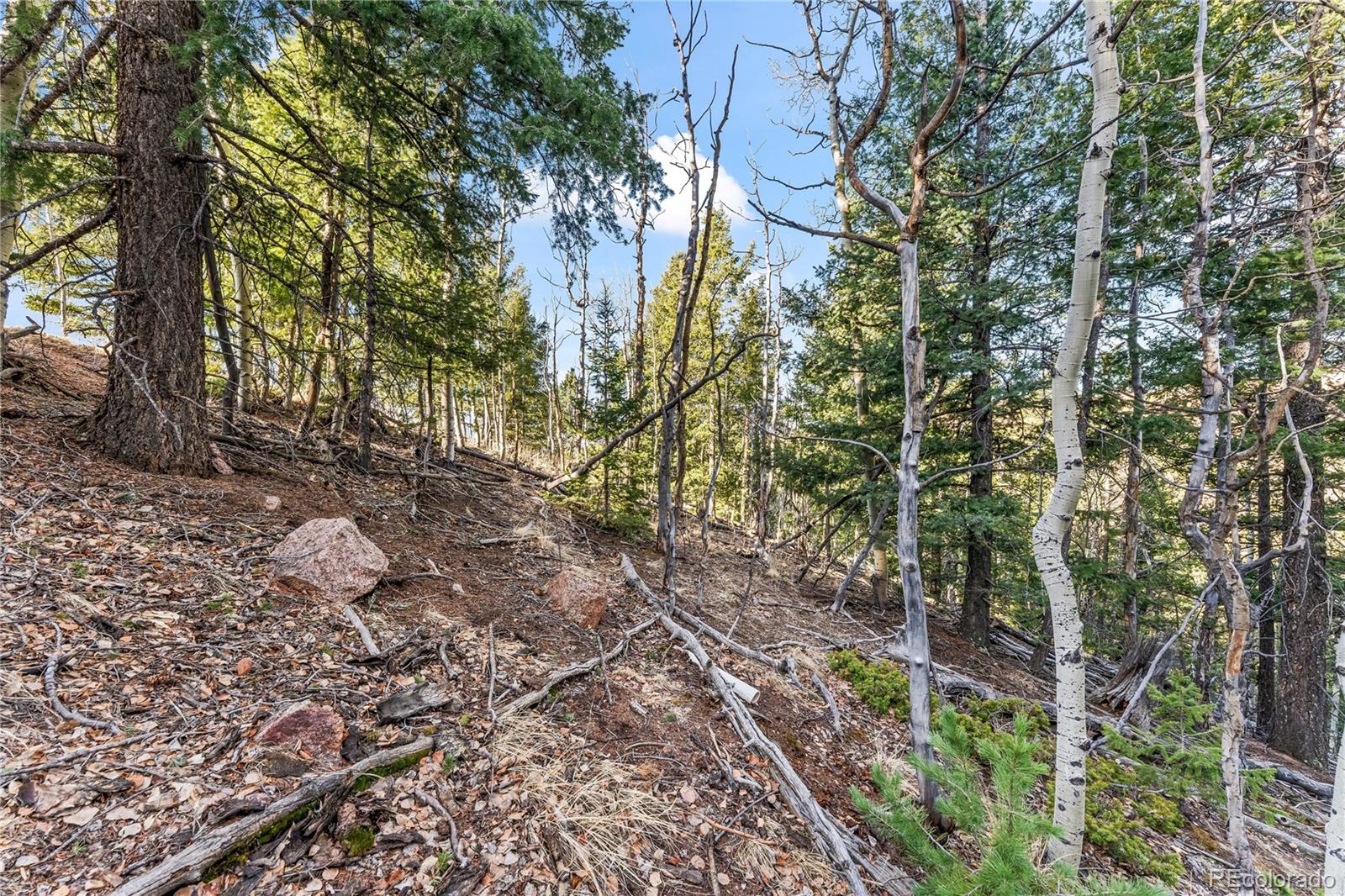 728 Little Topsey Drive Cripple Creek CO 80813
