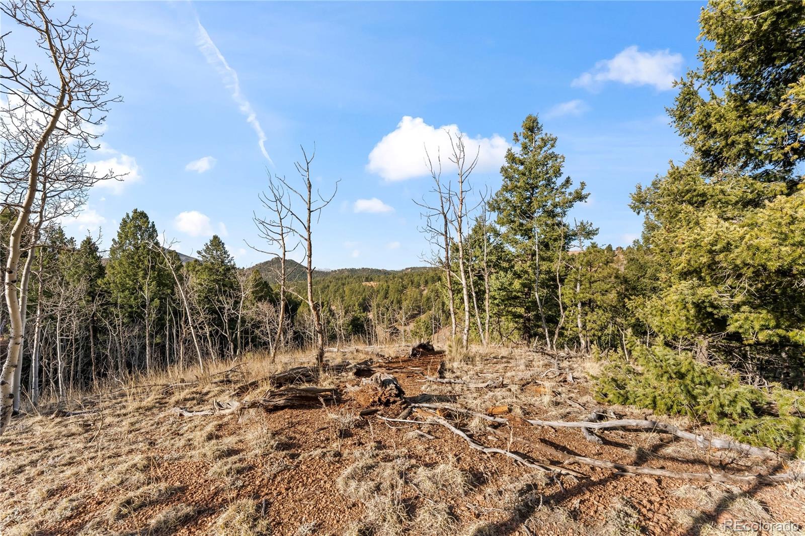 728 Little Topsey Drive Cripple Creek CO 80813