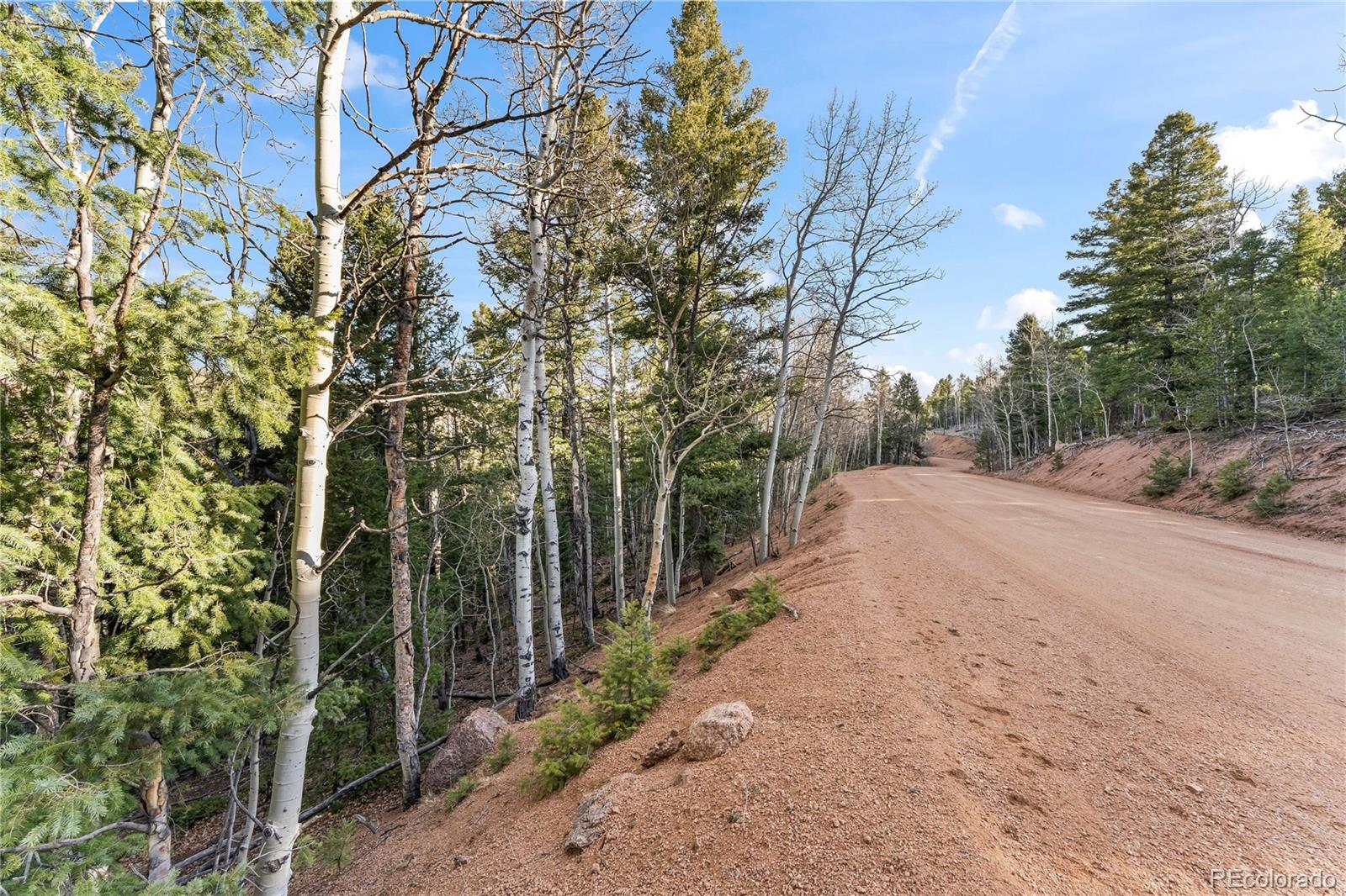 728 Little Topsey Drive Cripple Creek CO 80813