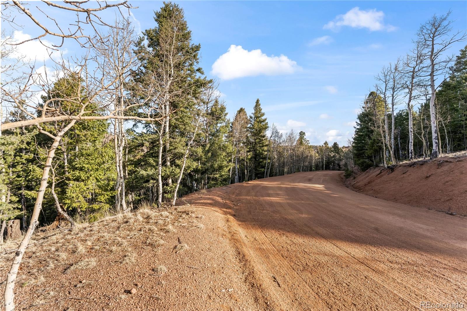 728 Little Topsey Drive Cripple Creek CO 80813