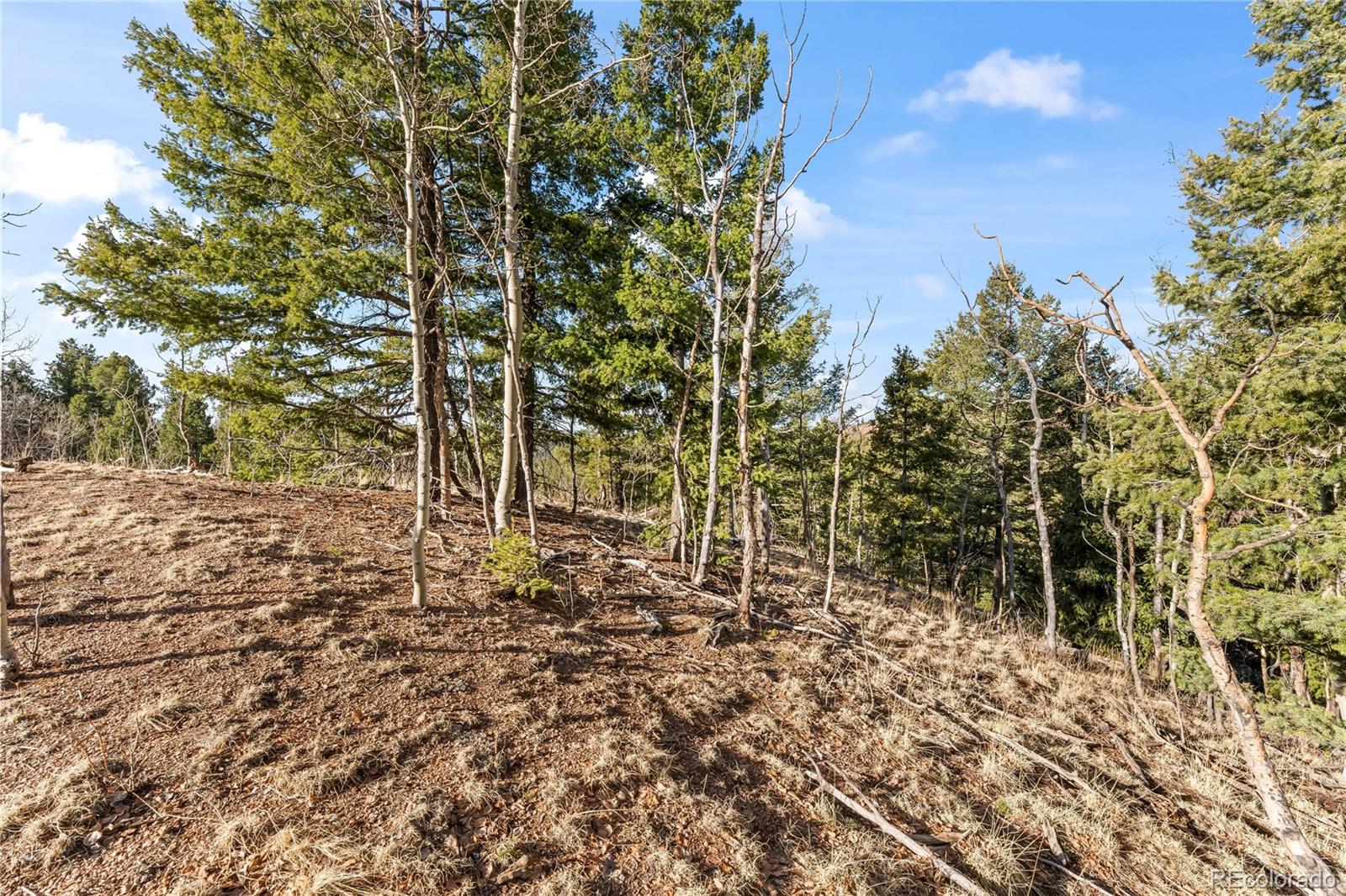 728 Little Topsey Drive Cripple Creek CO 80813