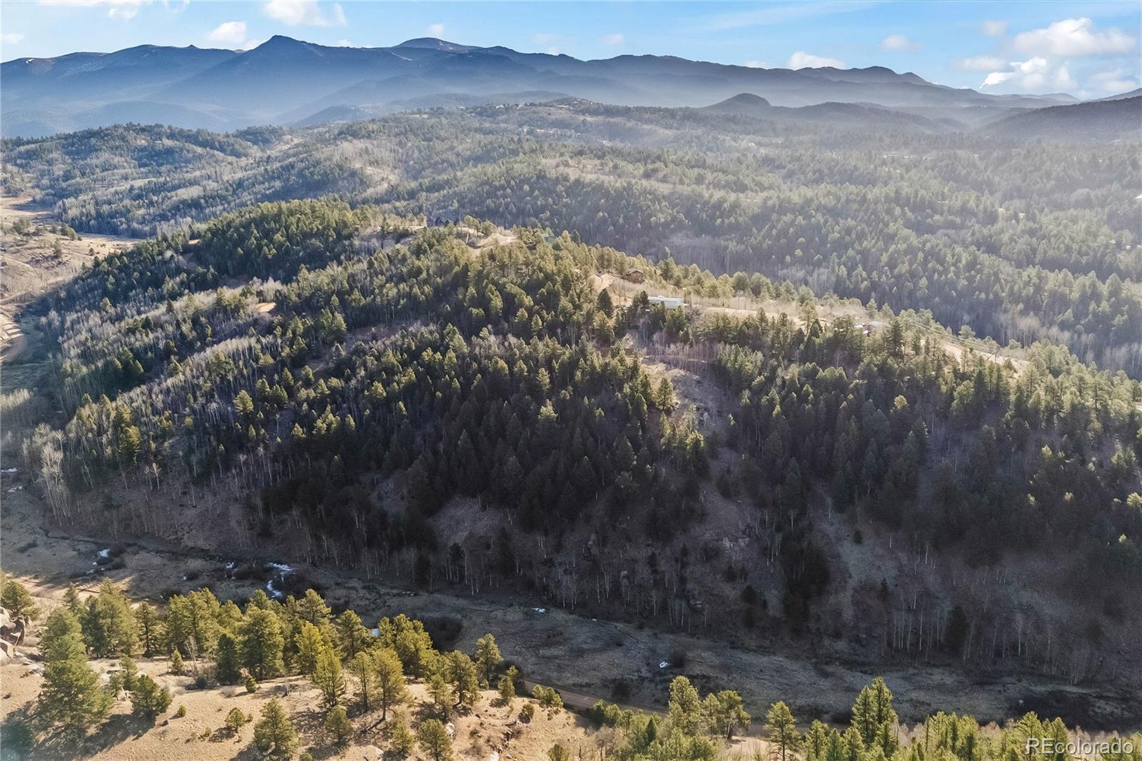728 Little Topsey Drive Cripple Creek CO 80813