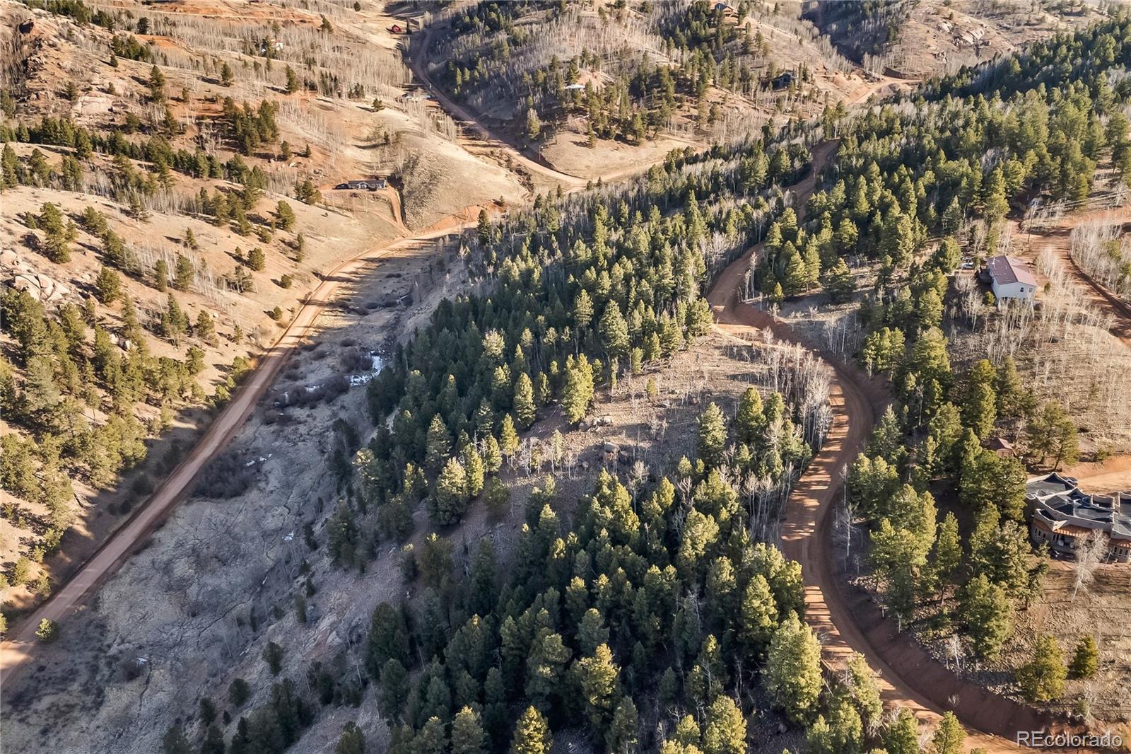 728 Little Topsey Drive Cripple Creek CO 80813