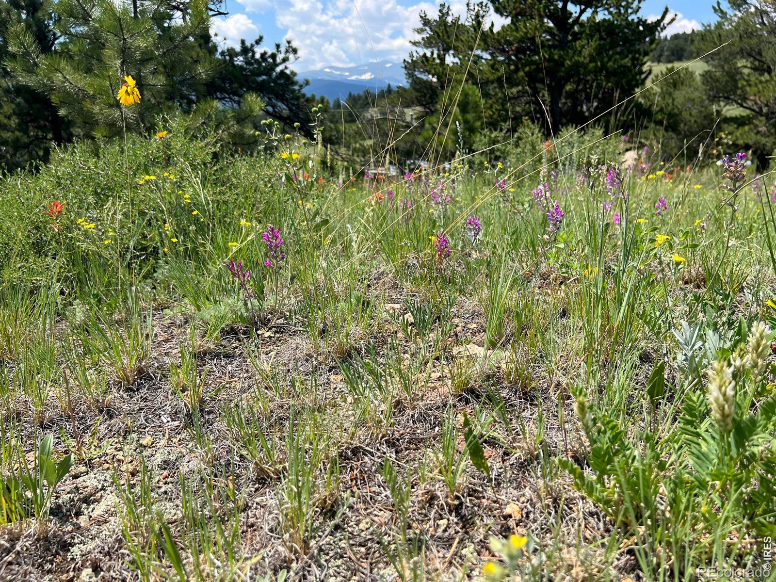 1182 Ridge Road Nederland CO 80466