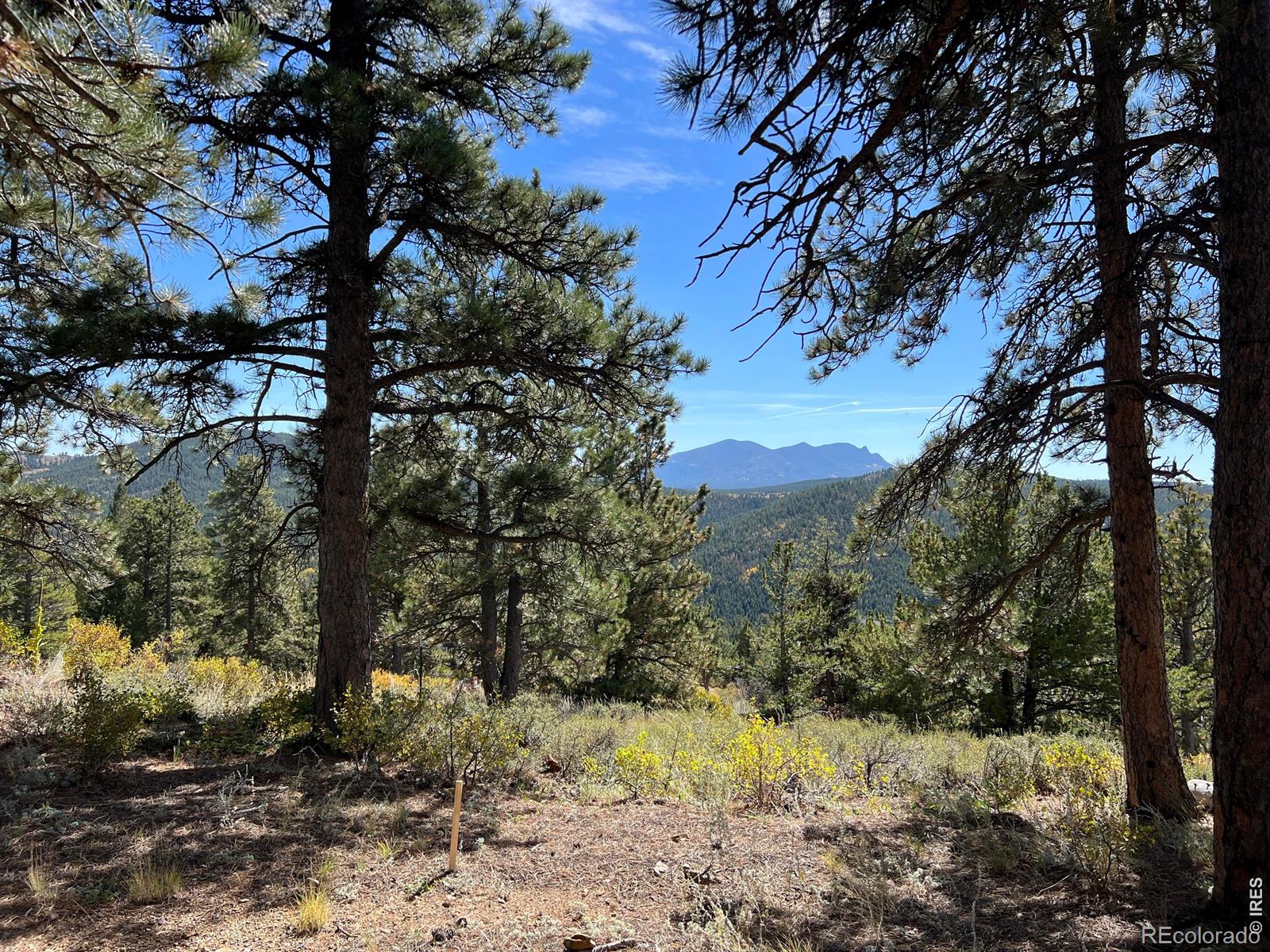 1182 Ridge Road Nederland CO 80466