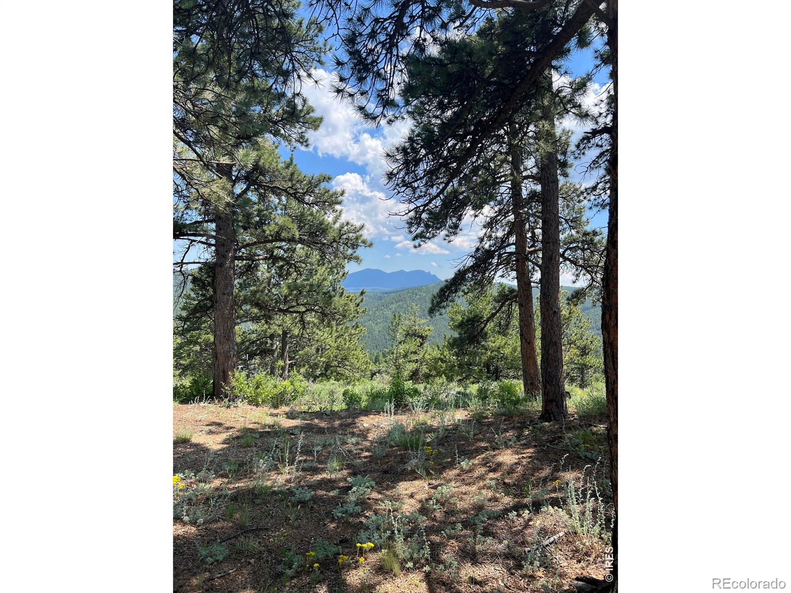 1182 Ridge Road Nederland CO 80466