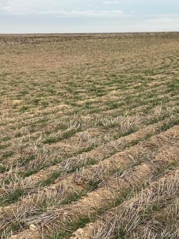 Tbd E 112th Avenue Bennett CO 80102