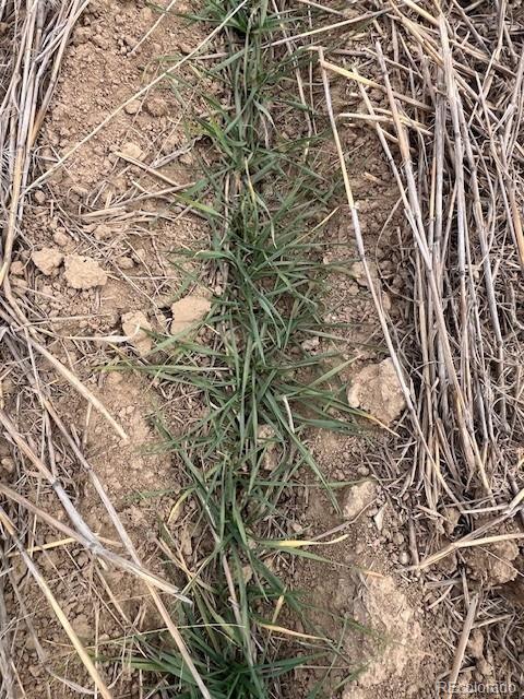 Tbd E 112th Avenue Bennett CO 80102