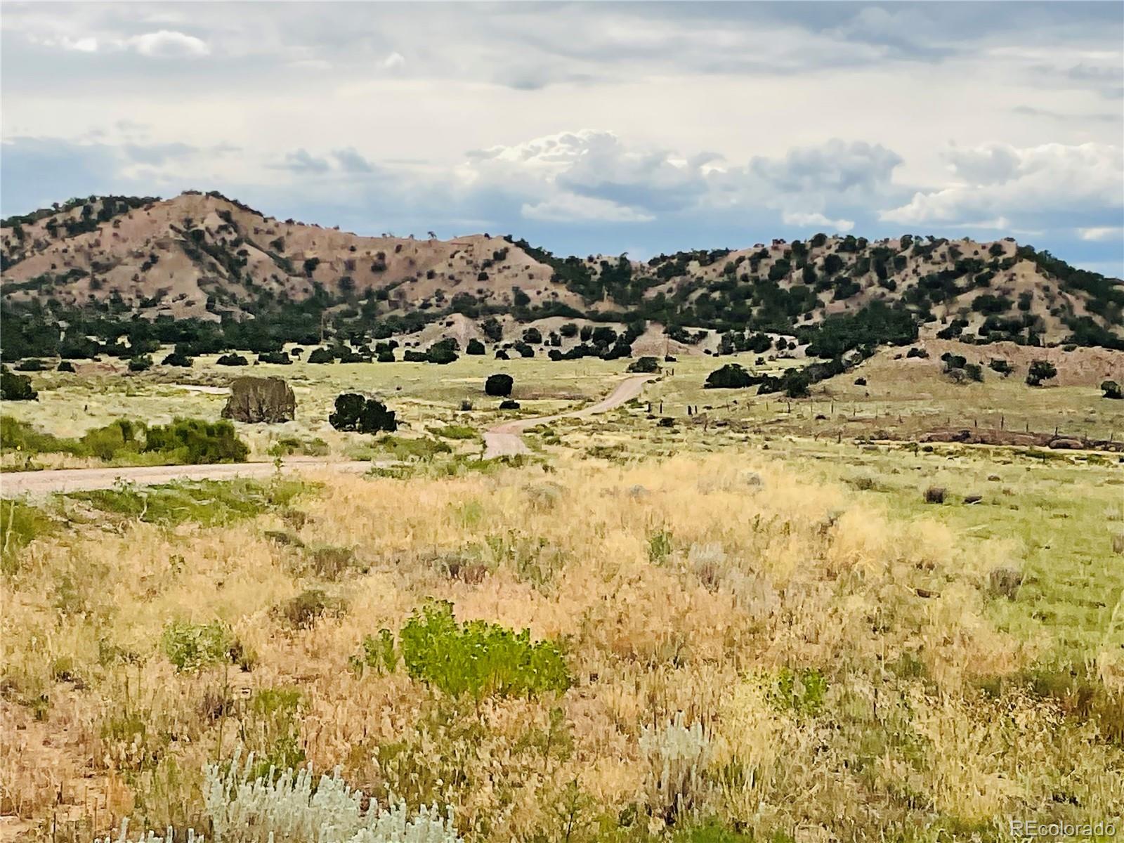 Lot 100 Tbd County Road 541, Cl & G Unit Dd Gardner CO 81040