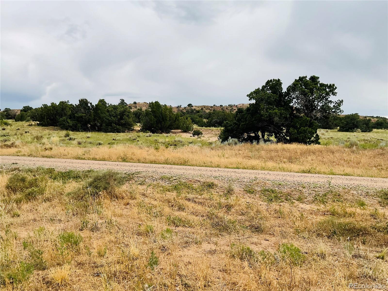 Lot 100 Tbd County Road 541, Cl & G Unit Dd Gardner CO 81040