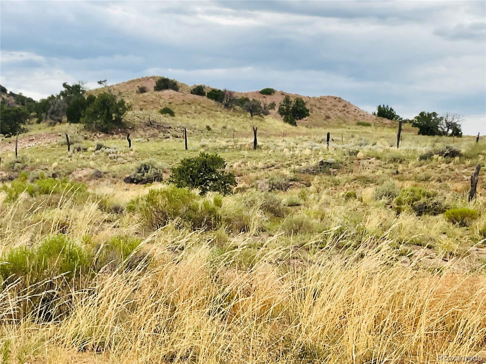 Lot 100 Tbd County Road 541, Cl & G Unit Dd Gardner CO 81040