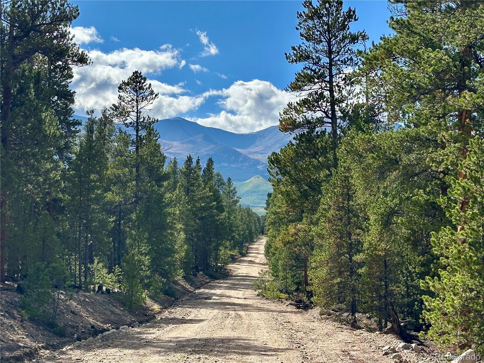 143 Fir Drive Leadville CO 80461