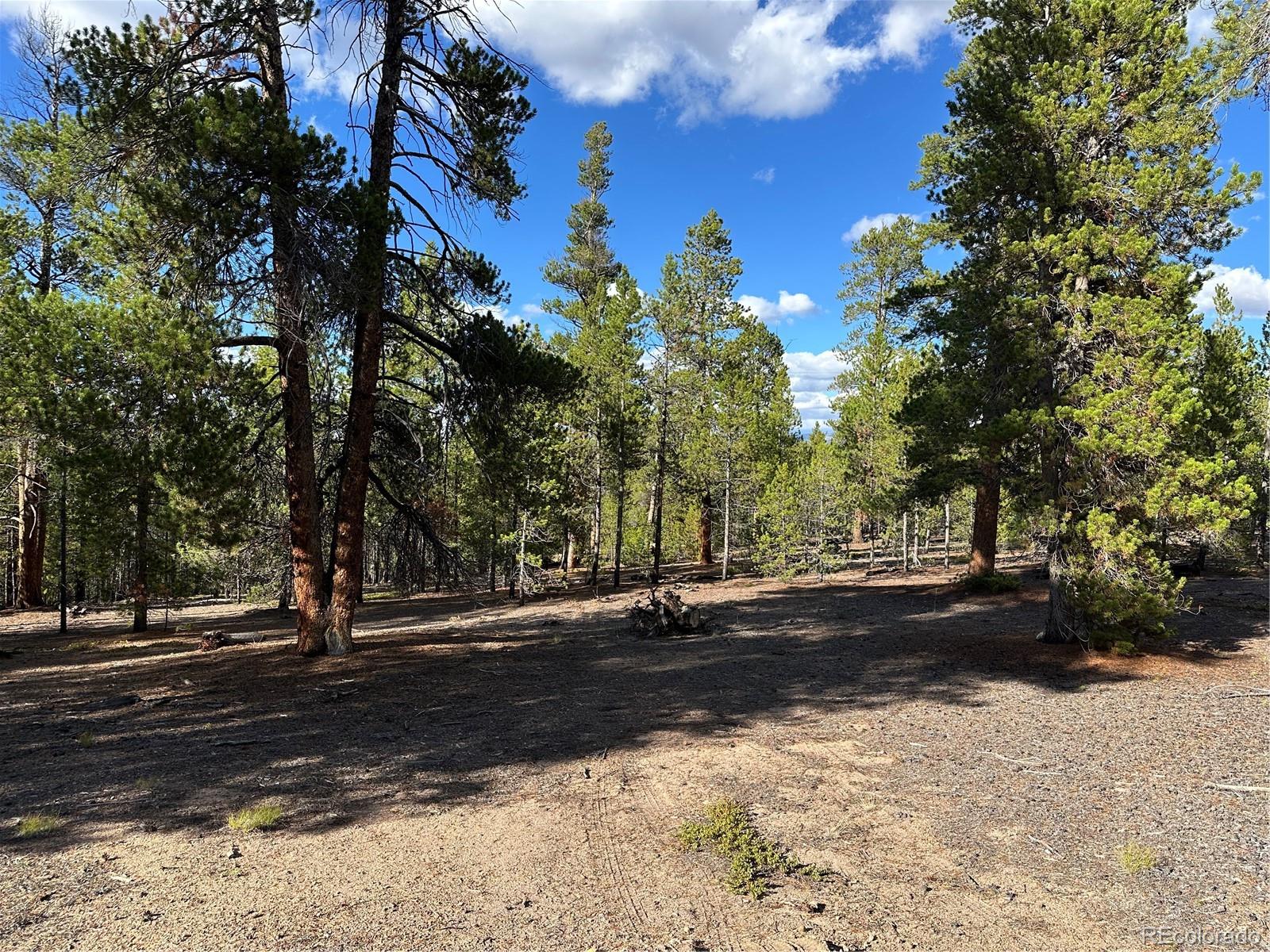 143 Fir Drive Leadville CO 80461