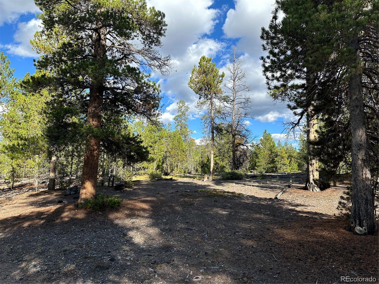 143 Fir Drive Leadville CO 80461