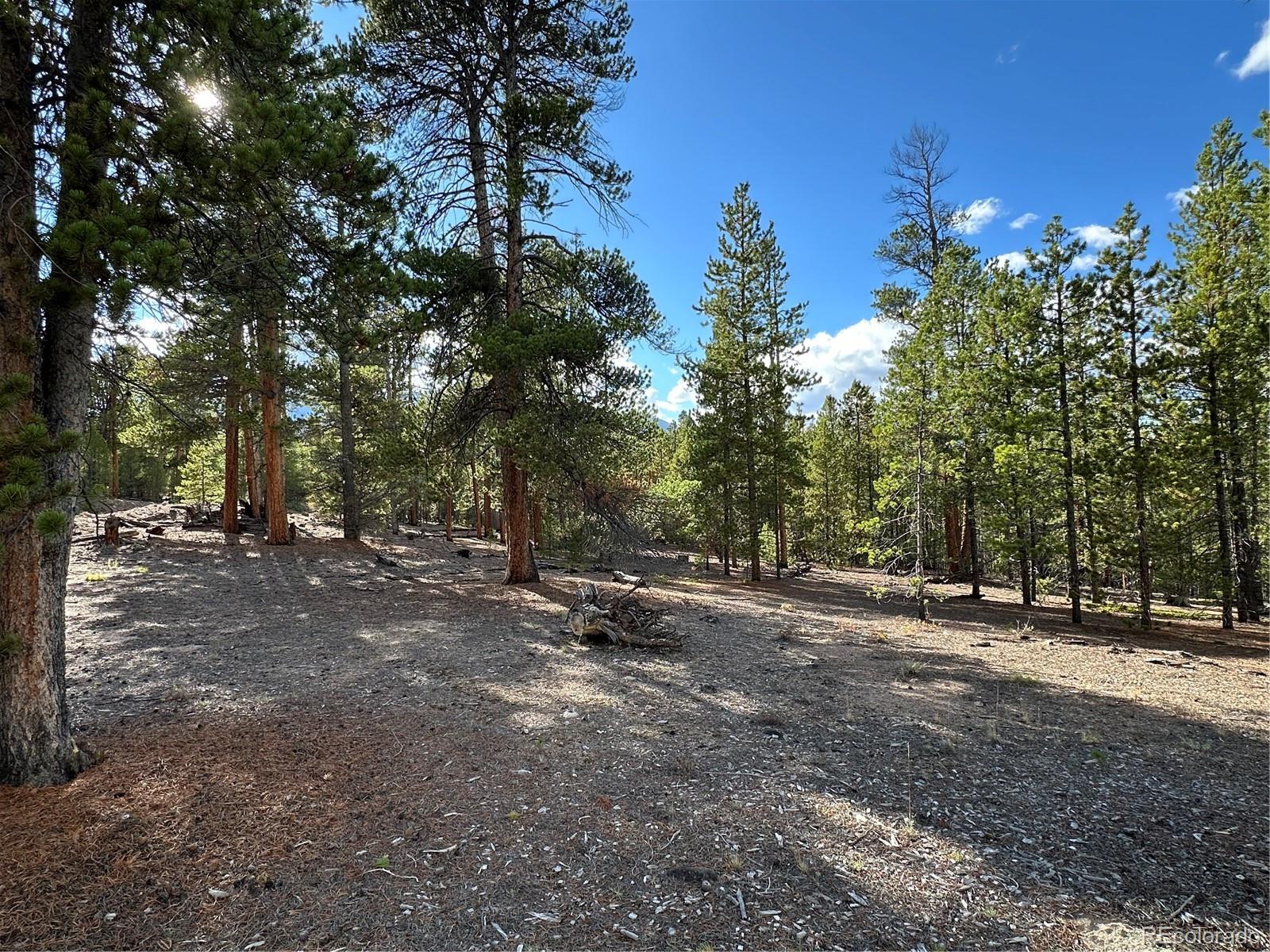 143 Fir Drive Leadville CO 80461