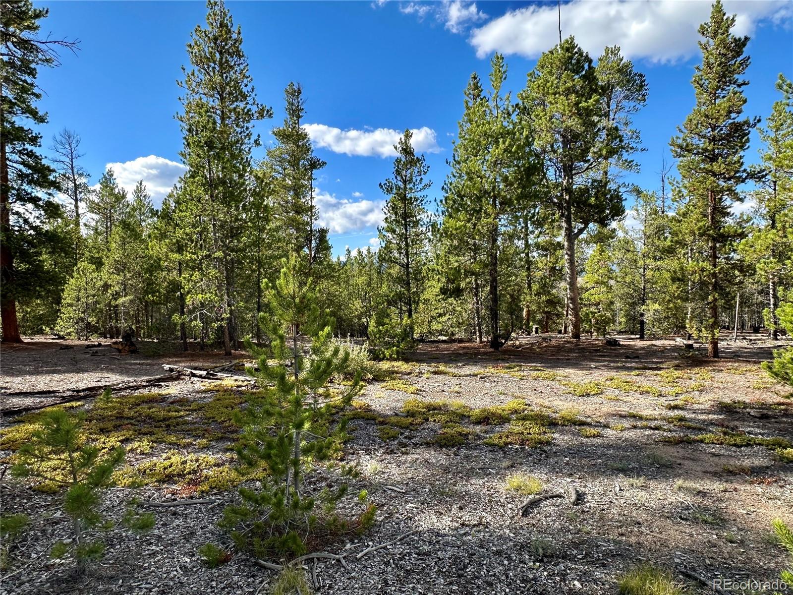 143 Fir Drive Leadville CO 80461