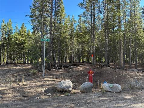143 Fir Drive Leadville CO 80461