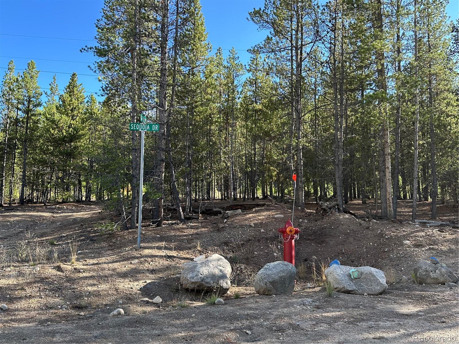 143 Fir Drive Leadville CO 80461