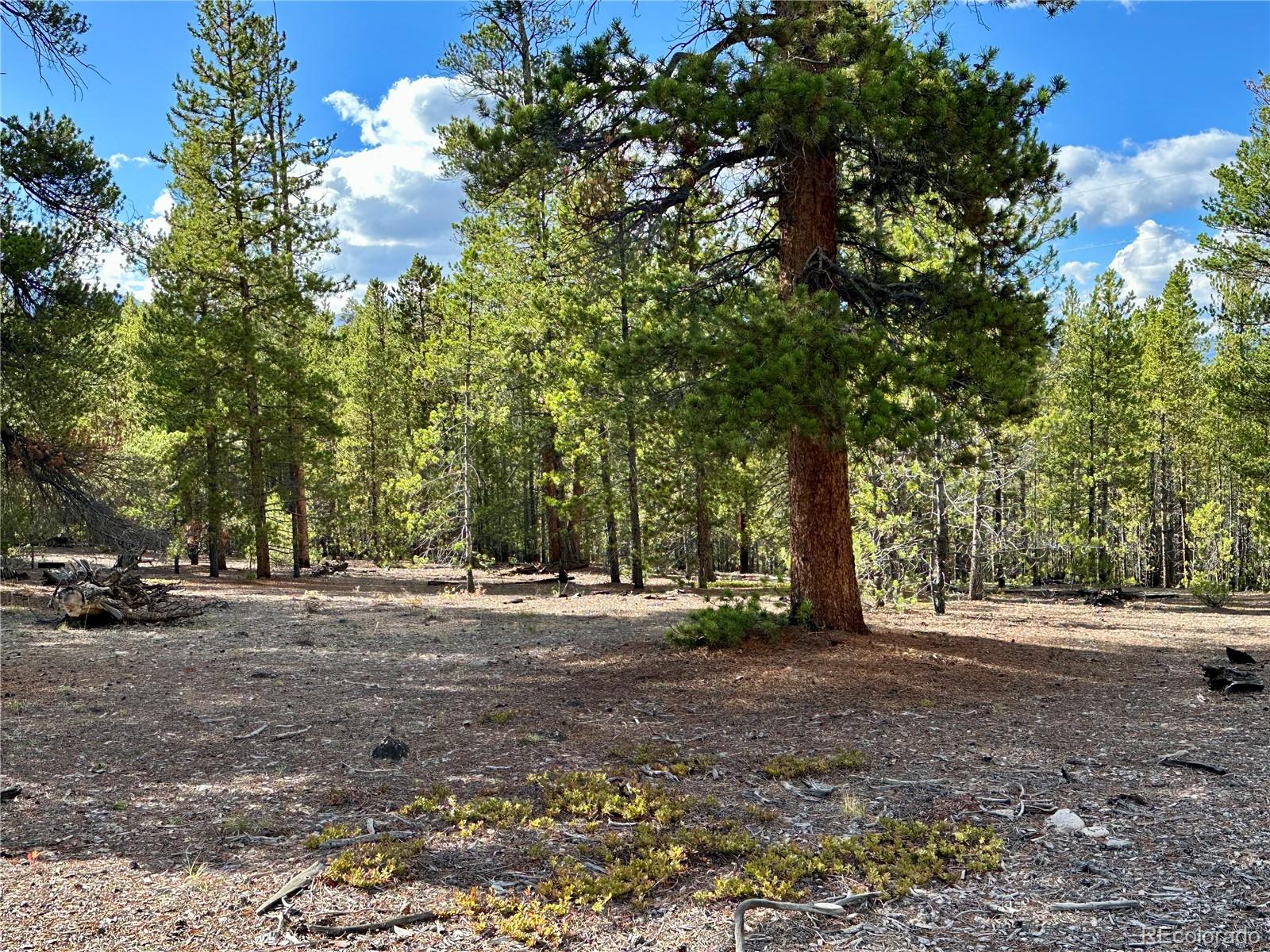 143 Fir Drive Leadville CO 80461