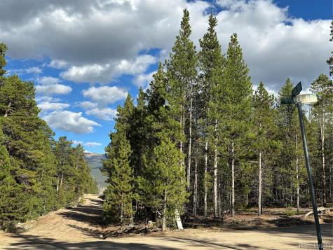 143 Fir Drive Leadville CO 80461