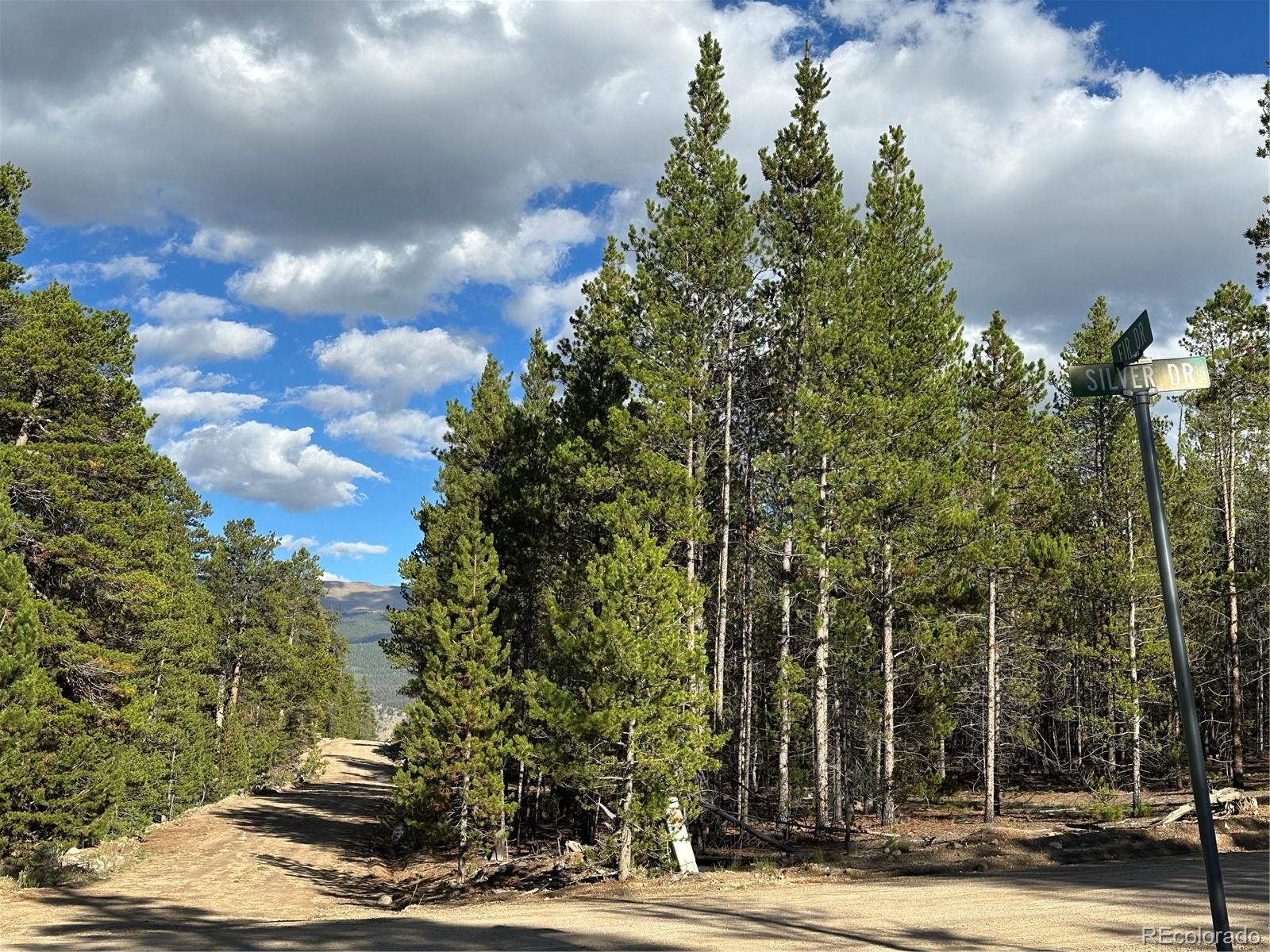 143 Fir Drive Leadville CO 80461