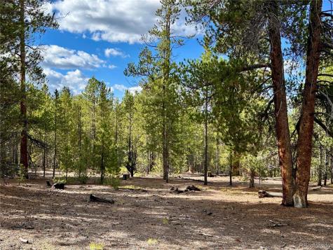 143 Fir Drive Leadville CO 80461