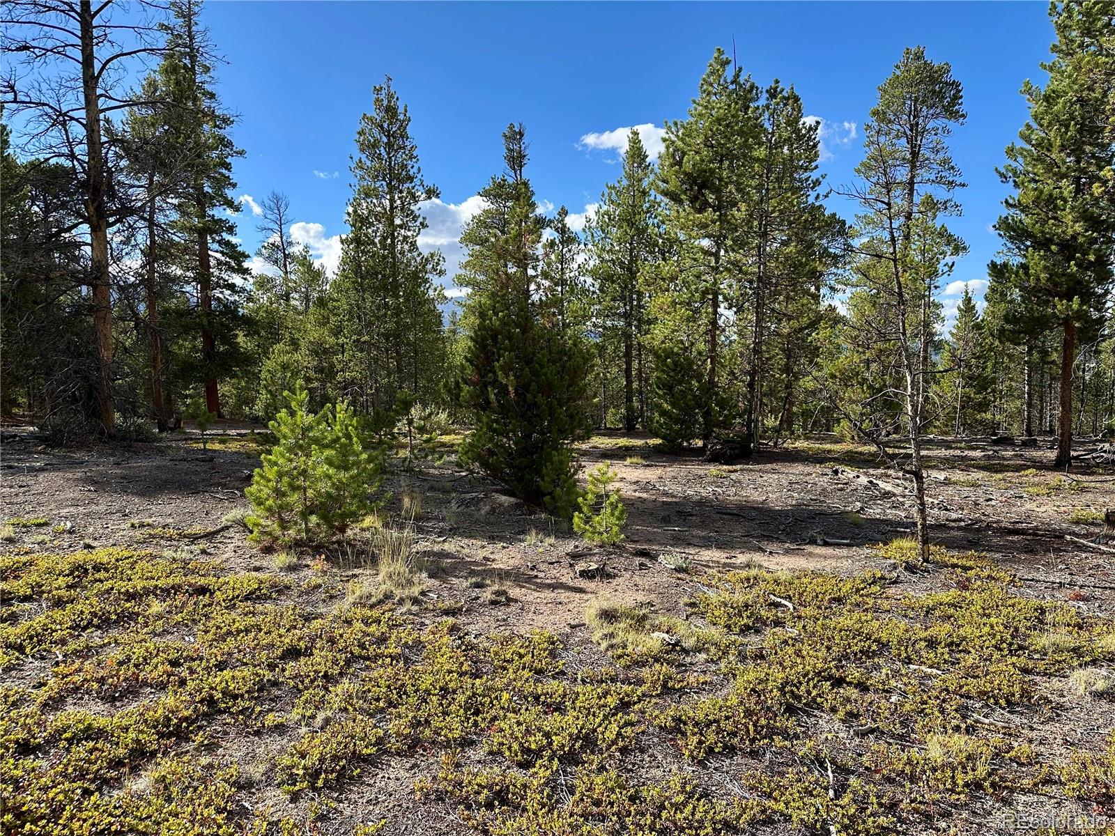 143 Fir Drive Leadville CO 80461