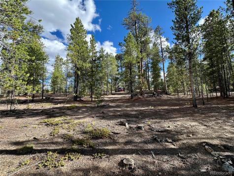 143 Fir Drive Leadville CO 80461