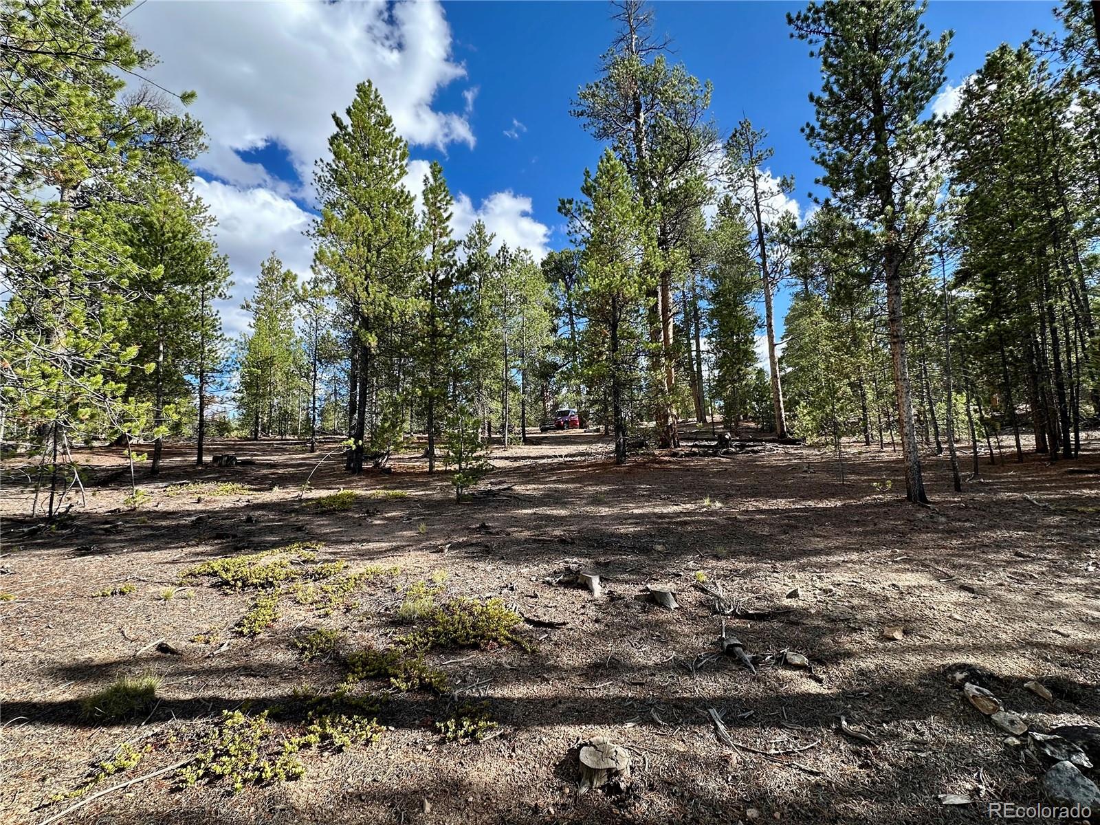 143 Fir Drive Leadville CO 80461