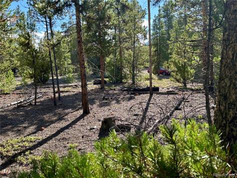 143 Fir Drive Leadville CO 80461