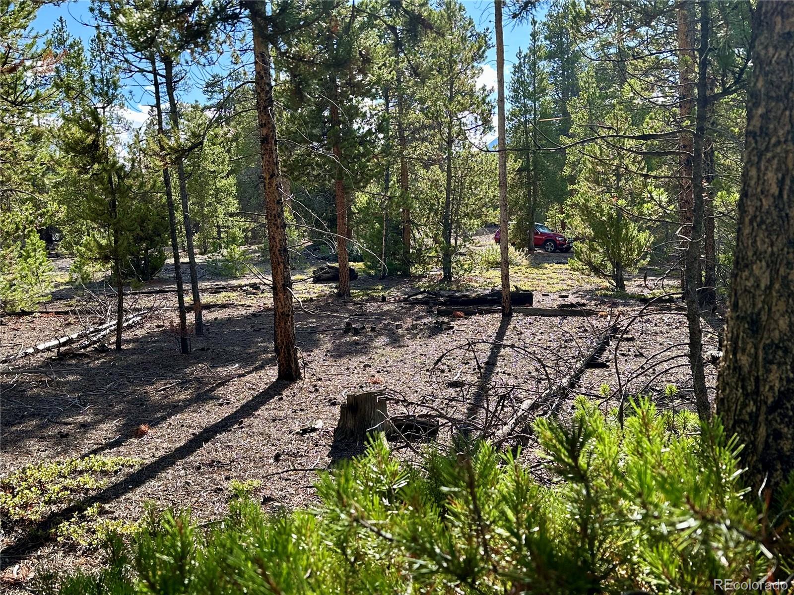 143 Fir Drive Leadville CO 80461